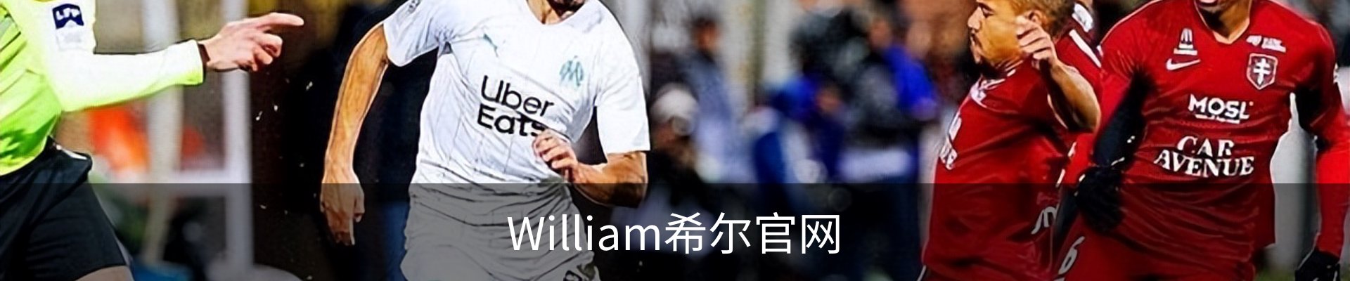 威廉希尔·williamhill(中国)中文官网